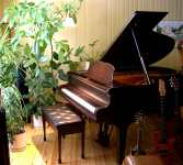 Piano � queue 